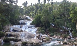 Floods, Funds, and Forests