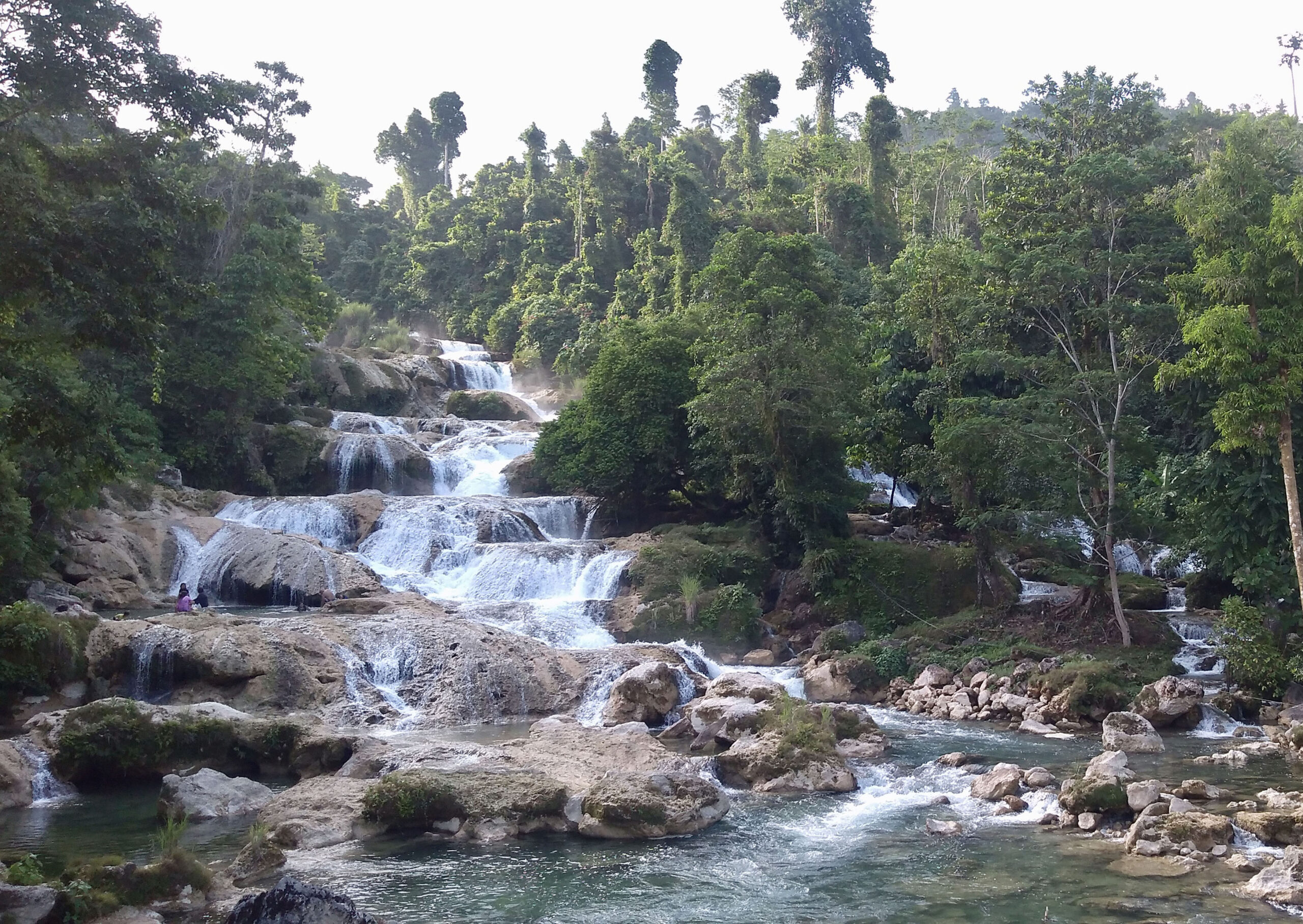 Read more about the article Floods, Funds, and Forests