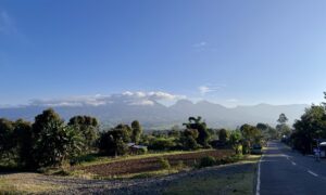 Rooted in Land, Rising for Justice: Talaandig Community Marks IDWIP 2026 in Bukidnon